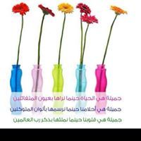 رولا الحديدي