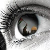 نظام ابو قويدر