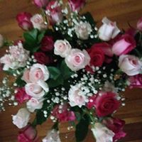 Dottie Joyal