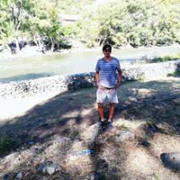 ნიკა მჭედლიშვილი