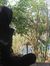 Aulia I...