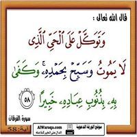 Mostafa Abd ElRahman