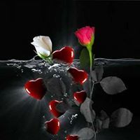 علياء النجار