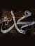 Tahar M...