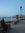 Samar T...