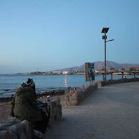 Samar Tarek