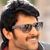 Chandana Mareddy
