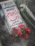 آلاء أحمد