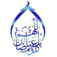 منى عبدالفتاح