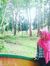 Intan S...