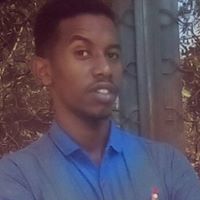 الدنيا أفراح