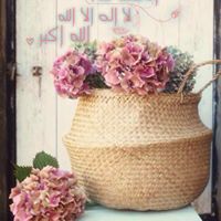 EmanElshazly EmanElshazly