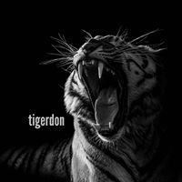 Tigerdon Rajesh