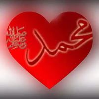 Amir Alamir
