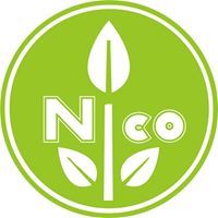 Nico Fernando