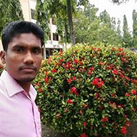 Mamun Rashid