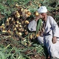 صلاح العمدة