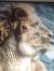 Lioness...