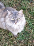 Jennifer