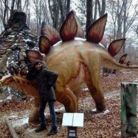 Gainescu Sorin Gabriel