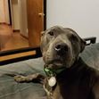 Jeffrey