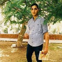 Mahmoud Elgamal
