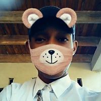 ßåvãgë Prîñçè