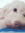 Gintonic | 1 comments