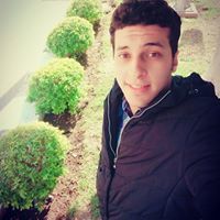 Mohamed Elhendawy