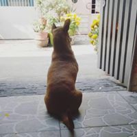 Hương Nghiêm