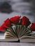 زهراء س...