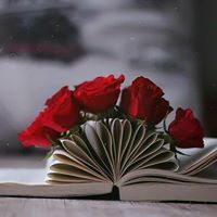 زهراء سلطان