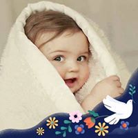আমেনা সুমি