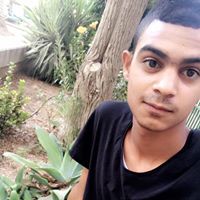 Ayman Alshafiee