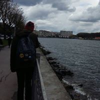 Володя Мудрий