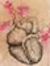 Fatma H...