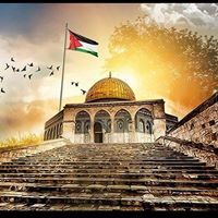 محمد ابو عمر