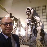 Ahmed Ksentini