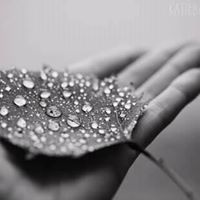 കുഞ്ഞു മഴത്തുള്ളി