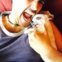 Erwin Castillo Ochoa