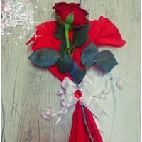 خولة المعلم