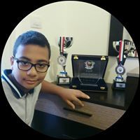 Karim Elhalawaty