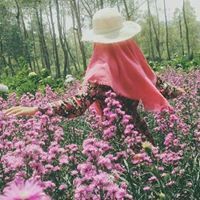 ياسمين محمد