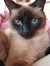 Aimee