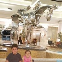 Bassem W Pheby