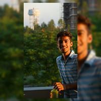 Safal Paliwal