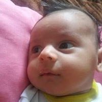 خليل ابو جراد