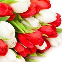 سما الاحلام