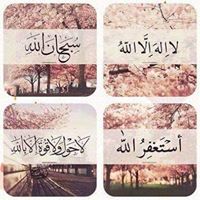 آلاء السعايده