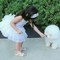 معا للفردوس